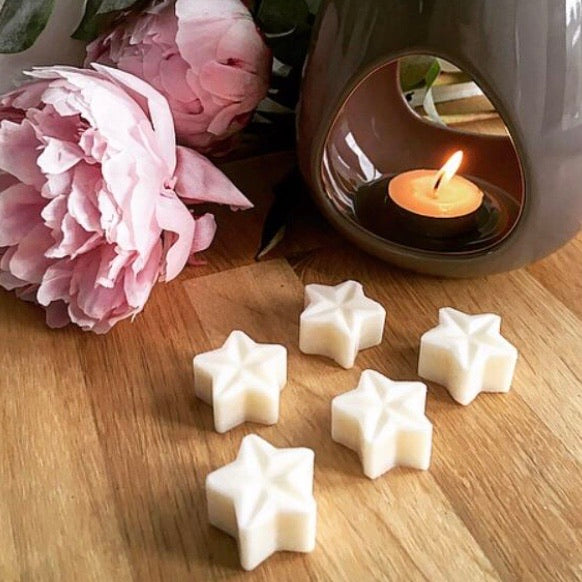Pack of Pomegranate and Vanilla vegan Soy wax melts from Thornbush Hill on a decorative background